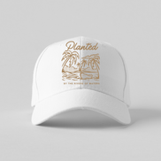Baseball caps