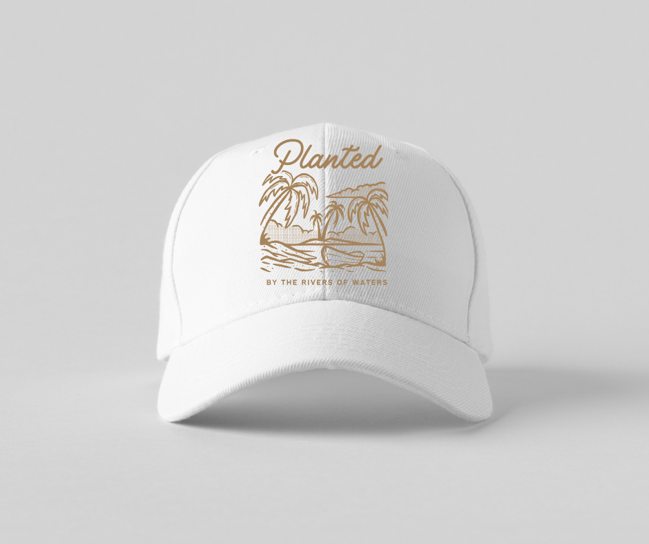 Baseball caps