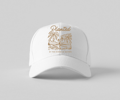 Baseball caps