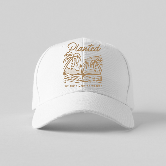 Baseball caps